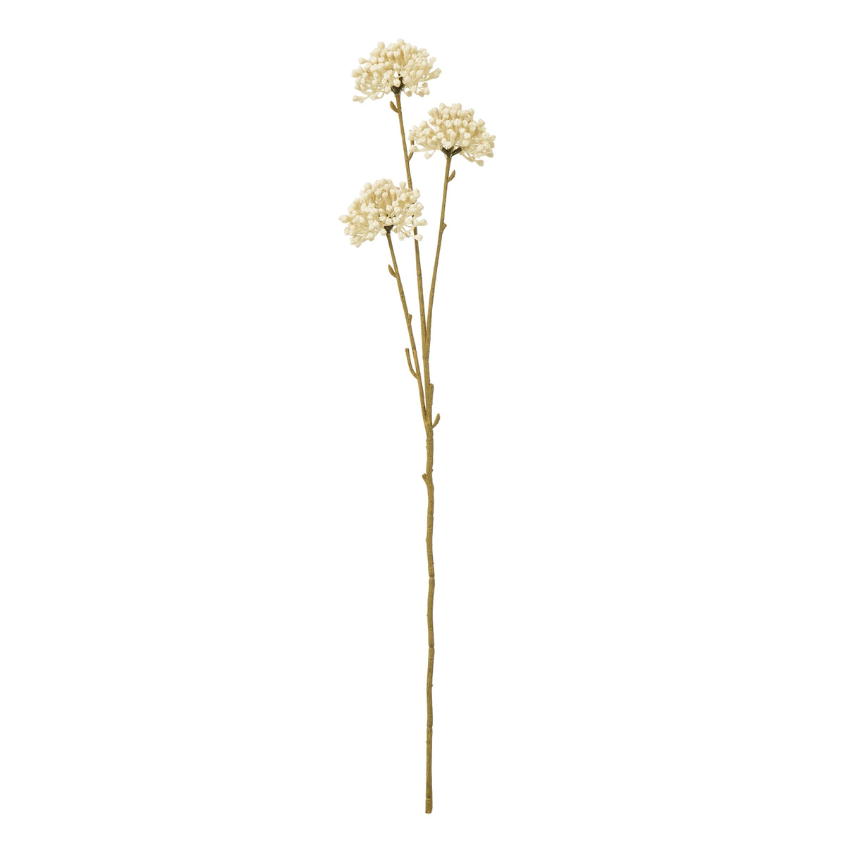 Cream Allium Spray - image 1