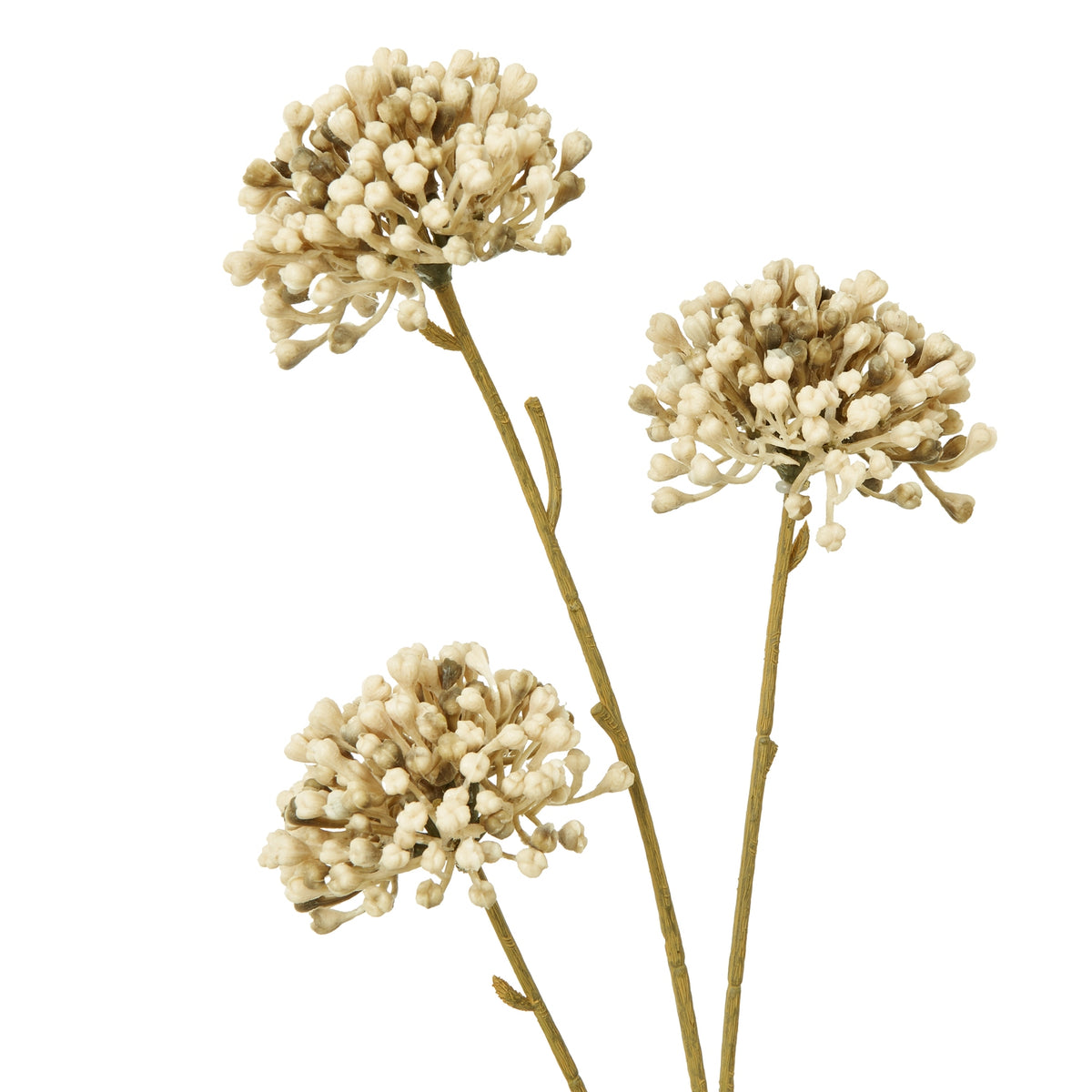 Brown Allium Spray - image 2