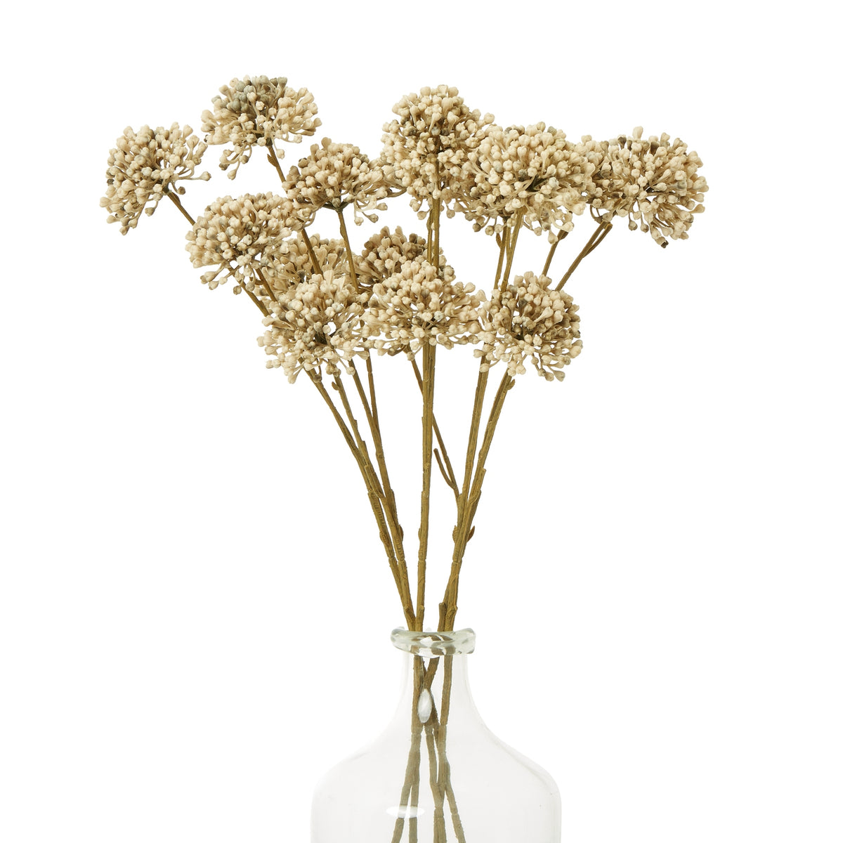 Brown Allium Spray - image 3