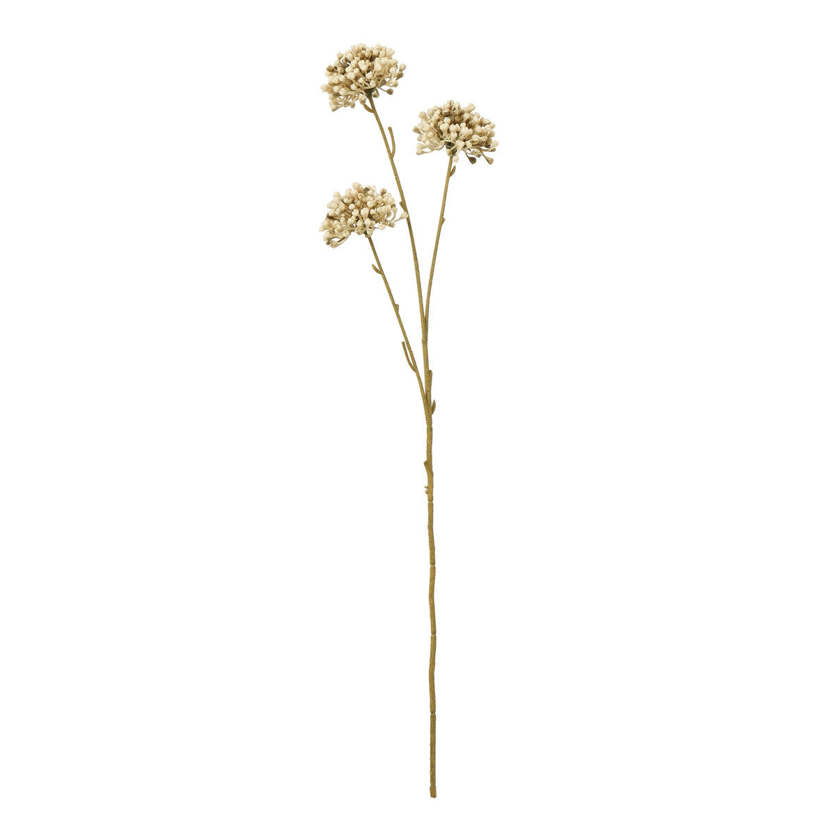 Brown Allium Spray - image 1
