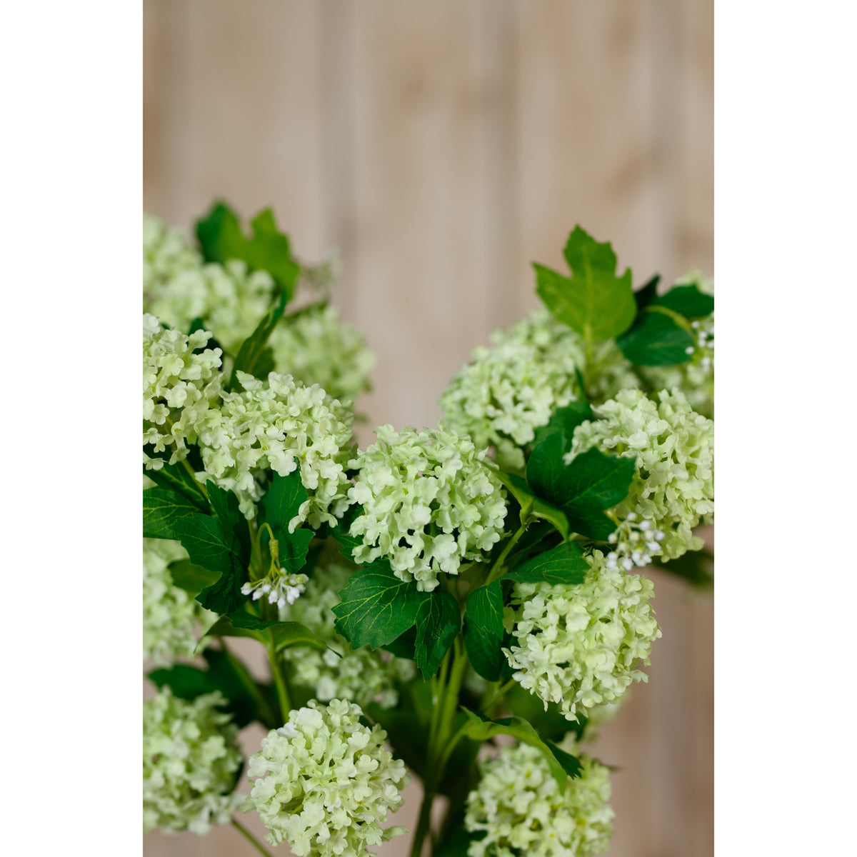 Green Snowball Viburnum Spray - image 5