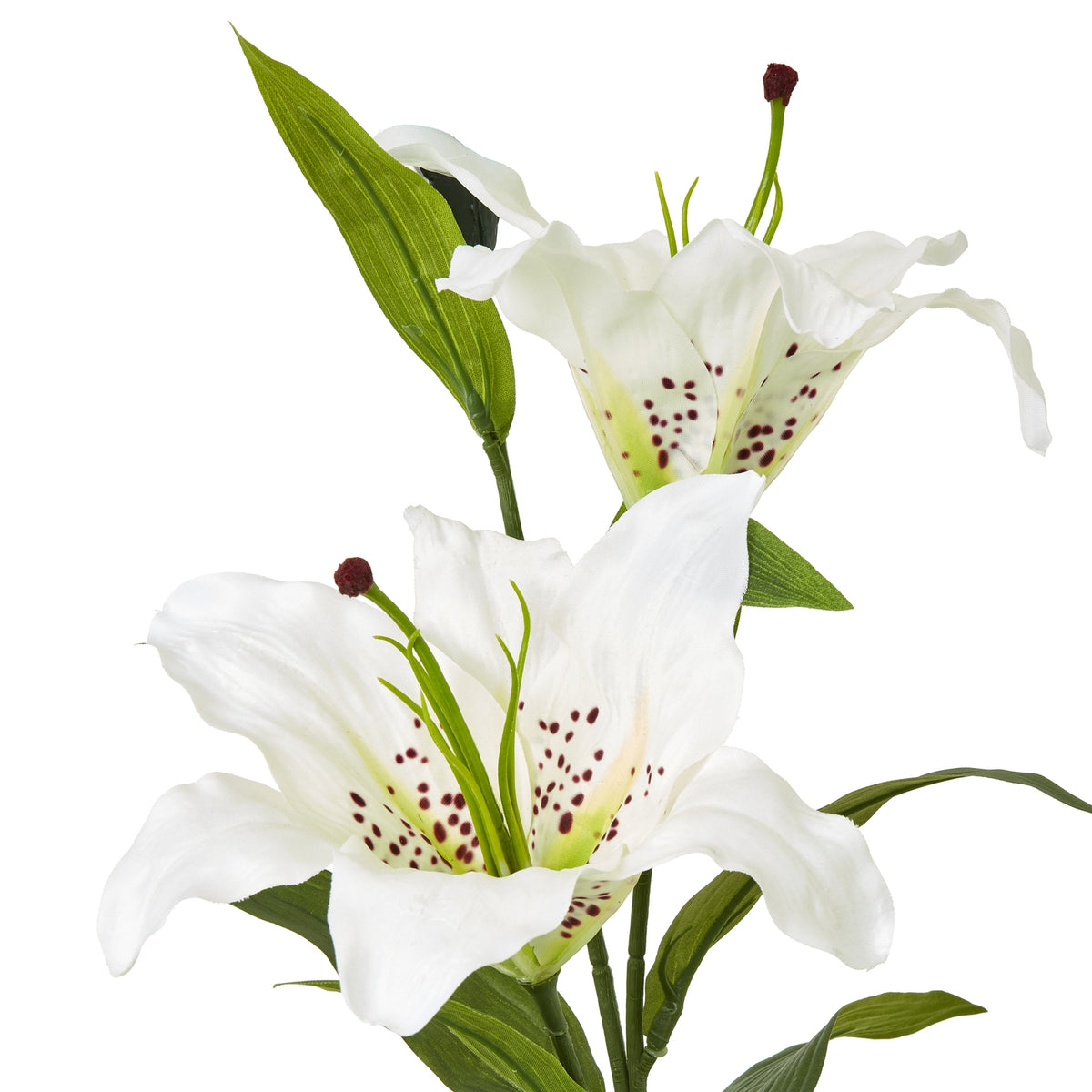 White Madonna Lily Spray - image 2