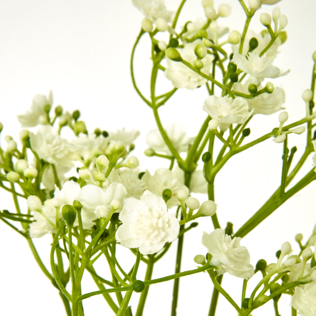 Cream Gypsophila Stem - image 2
