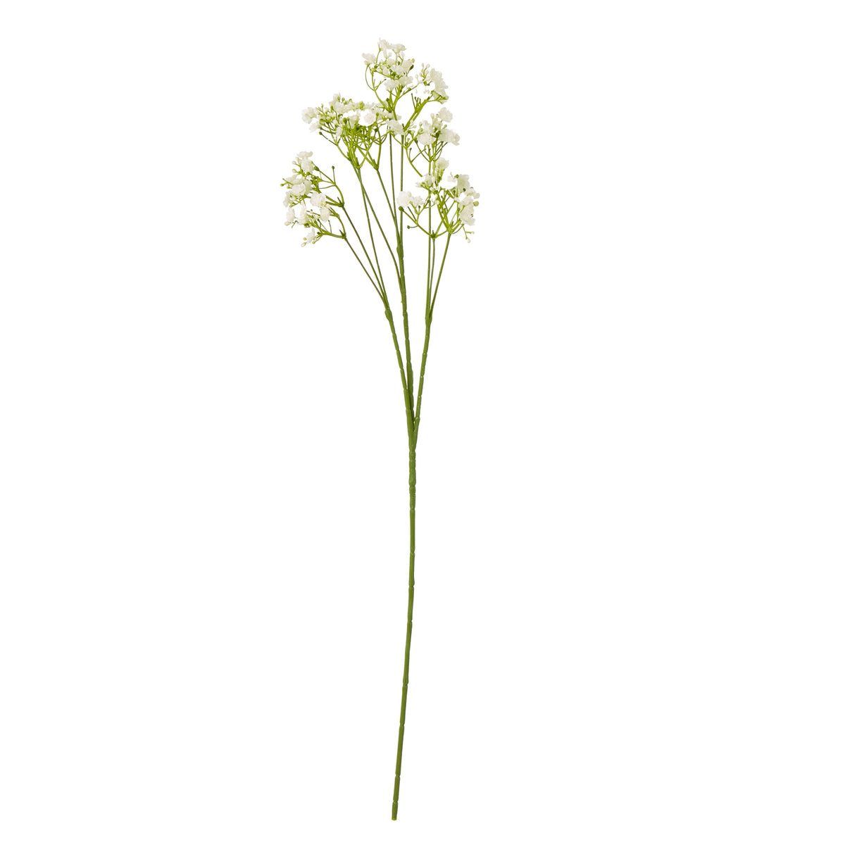 Cream Gypsophila Stem - image 1