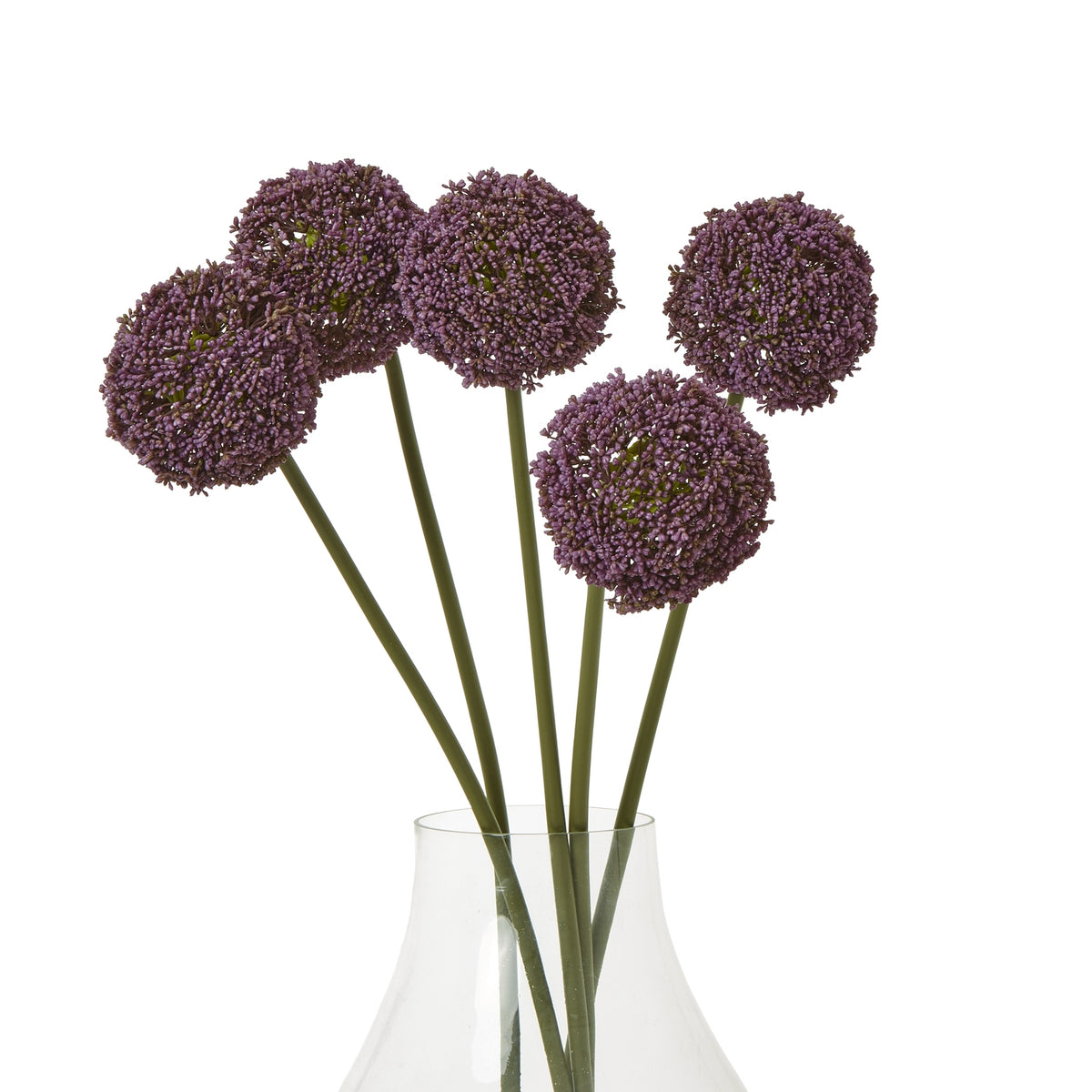 Purple Allium Stem - image 3