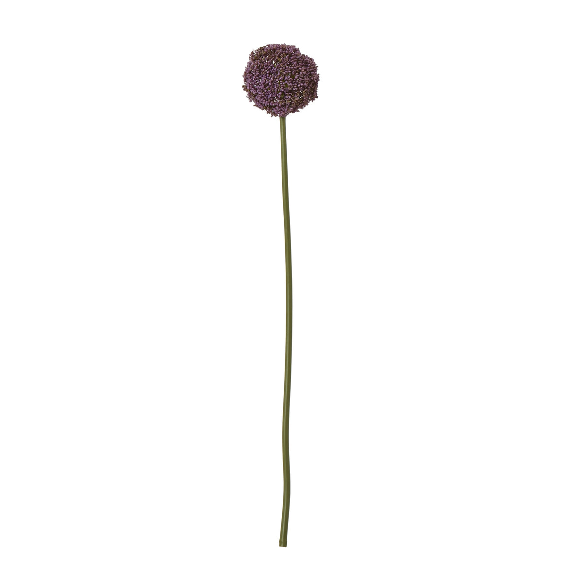 Purple Allium Stem - image 1