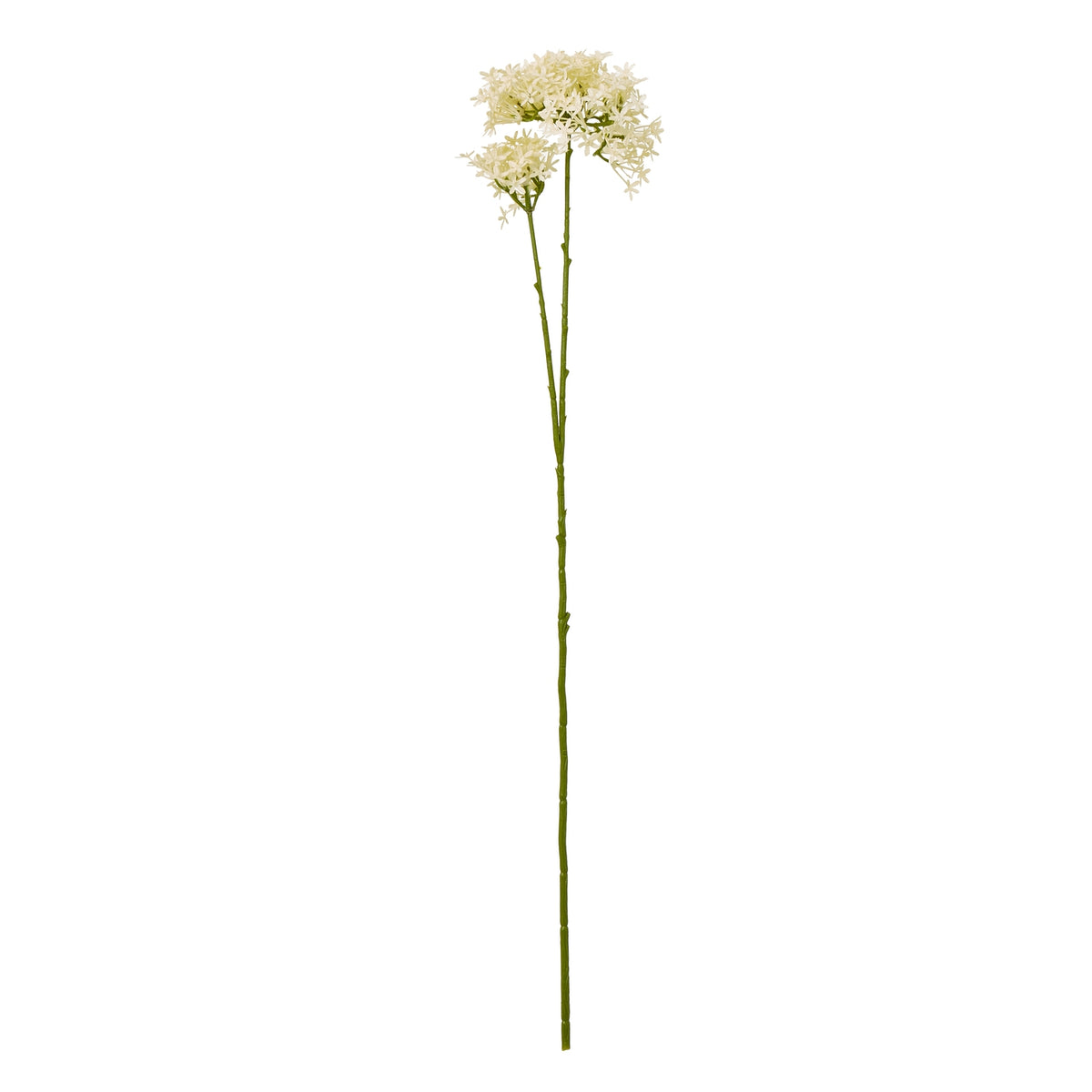 Cream Crown Hydrangea Stem - image 1