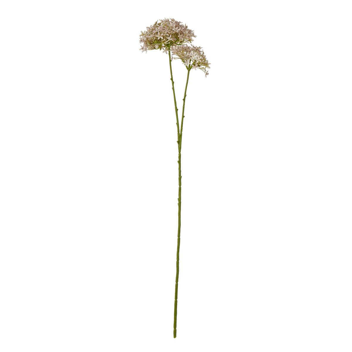 Lilac Crown Hydrangea Stem - image 1