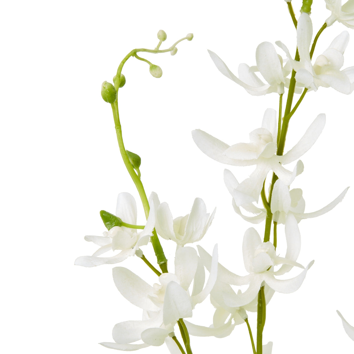 White Cymbidium Spray - image 2