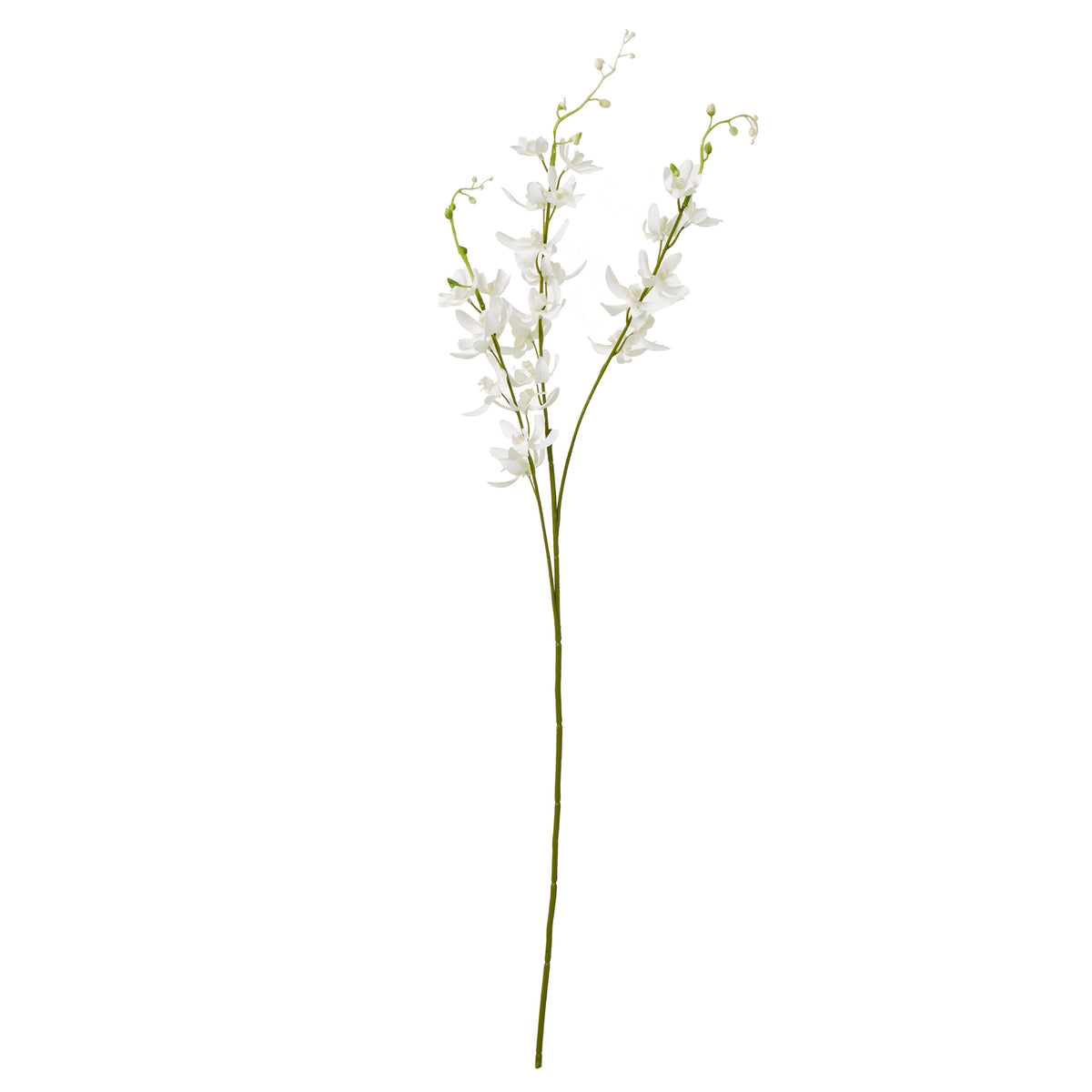 White Cymbidium Spray - image 1