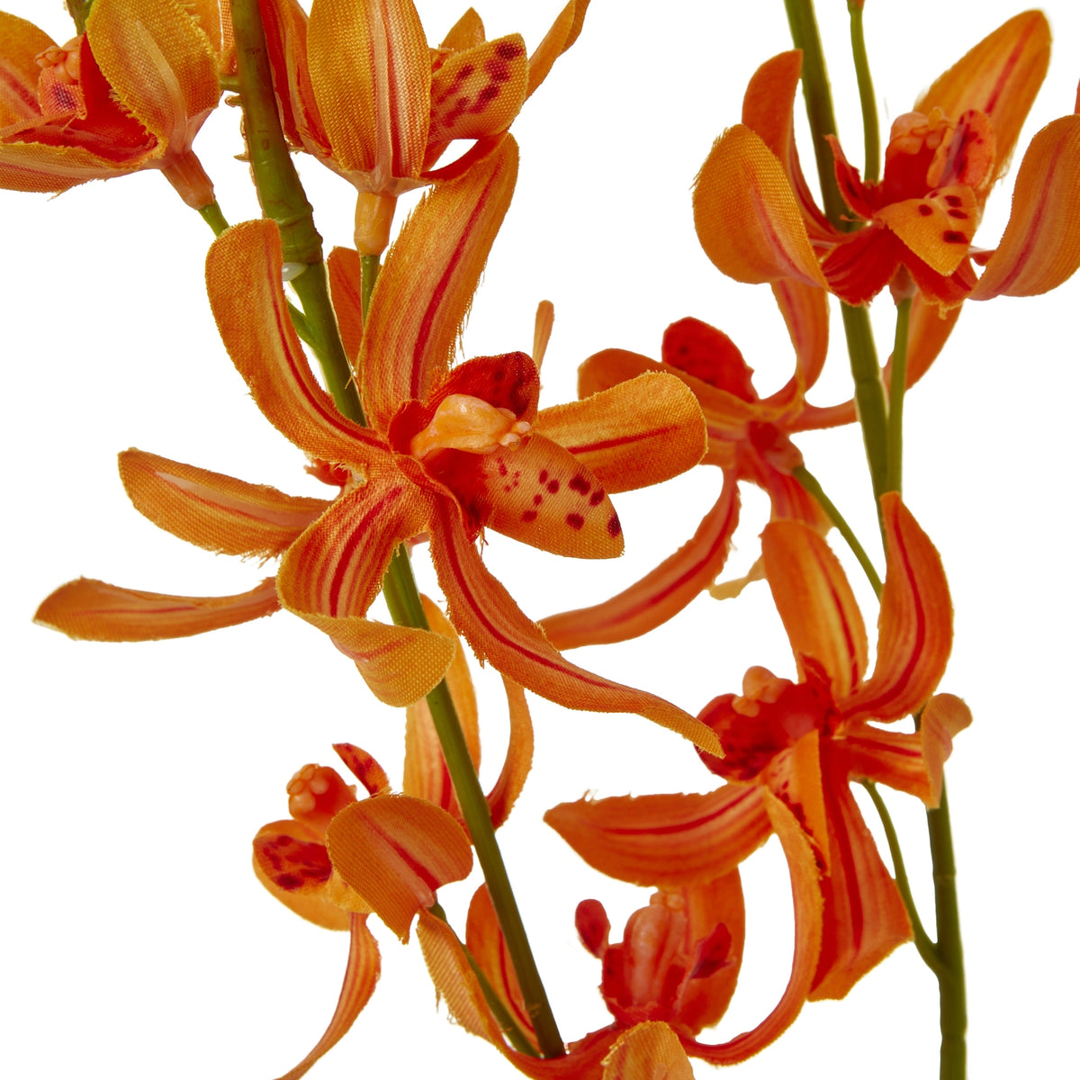 Orange Cymbidium Spray - image 2