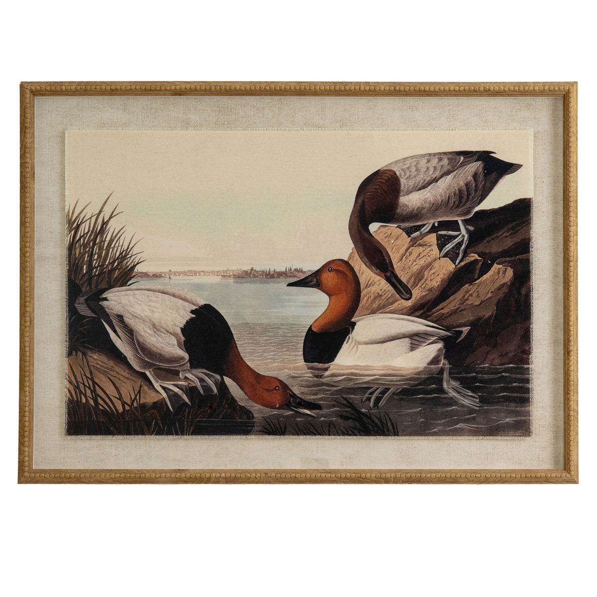 Flora & Fauna Collection Pochards On Linen In Beaded Frame - image 1