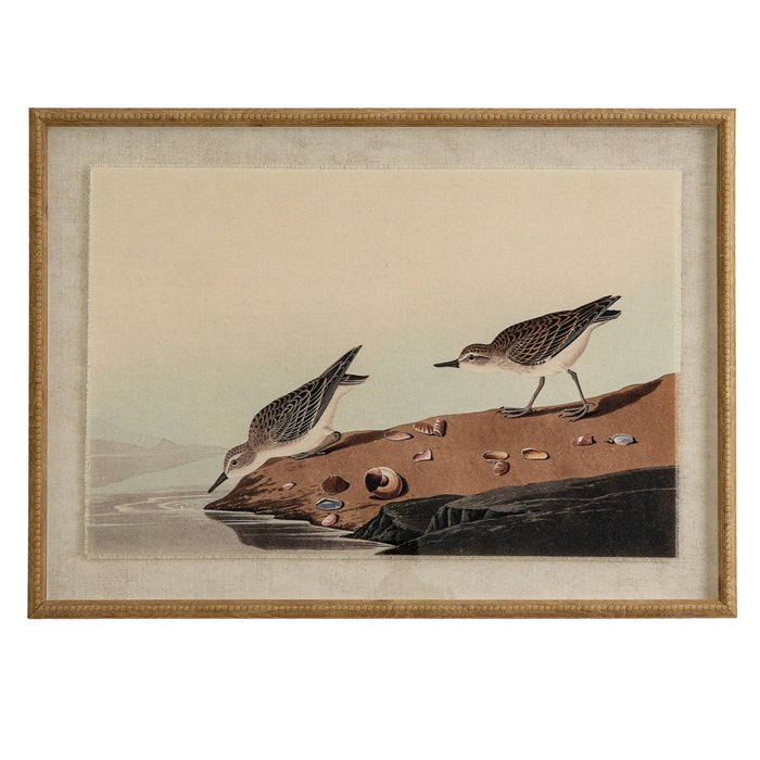 Flora & Fauna Collection Stints On Linen In Beaded Frame