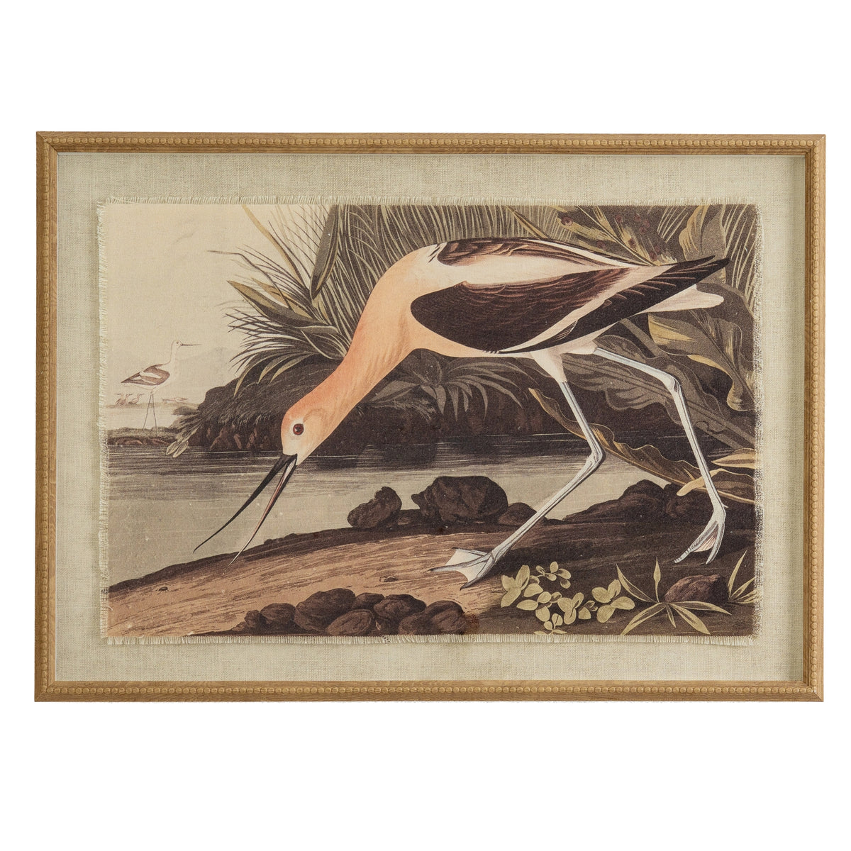 Flora & Fauna Collection Avocet On Linen In Beaded Frame - image 1