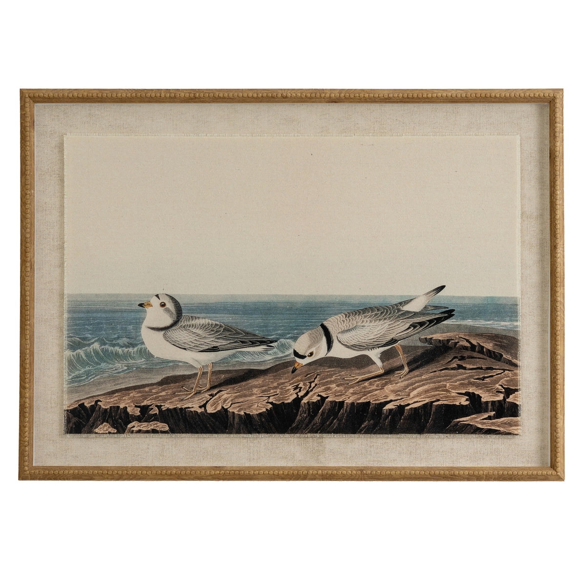 Flora & Fauna Collection Plovers On Linen In Beaded Frame - image 1