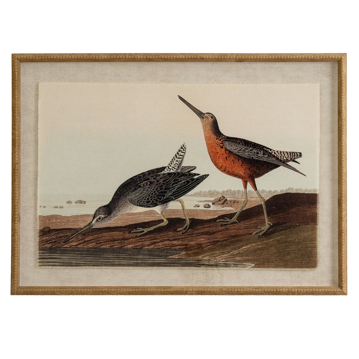 Flora & Fauna Collection Snipes On Linen In Beaded Frame - image 1