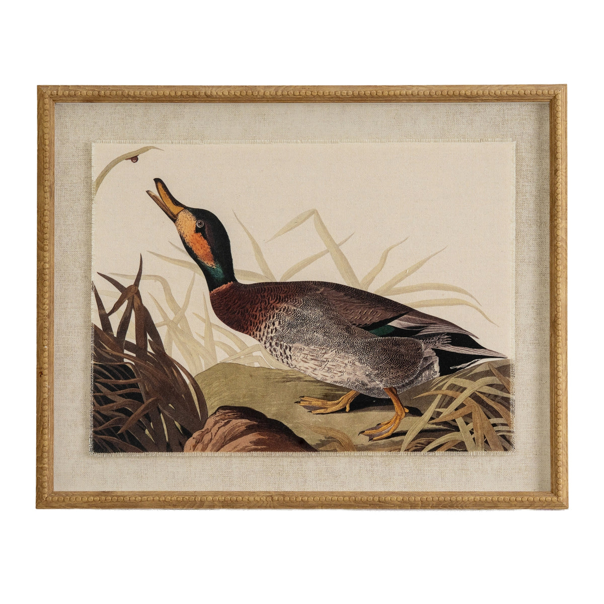 Flora & Fauna Collection Duck On Linen In Beaded Frame - image 1