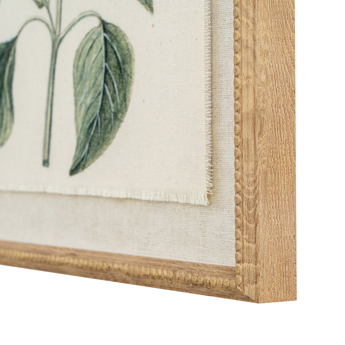 Flora & Fauna Collection Salvia On Linen In Beaded Frame - image 2