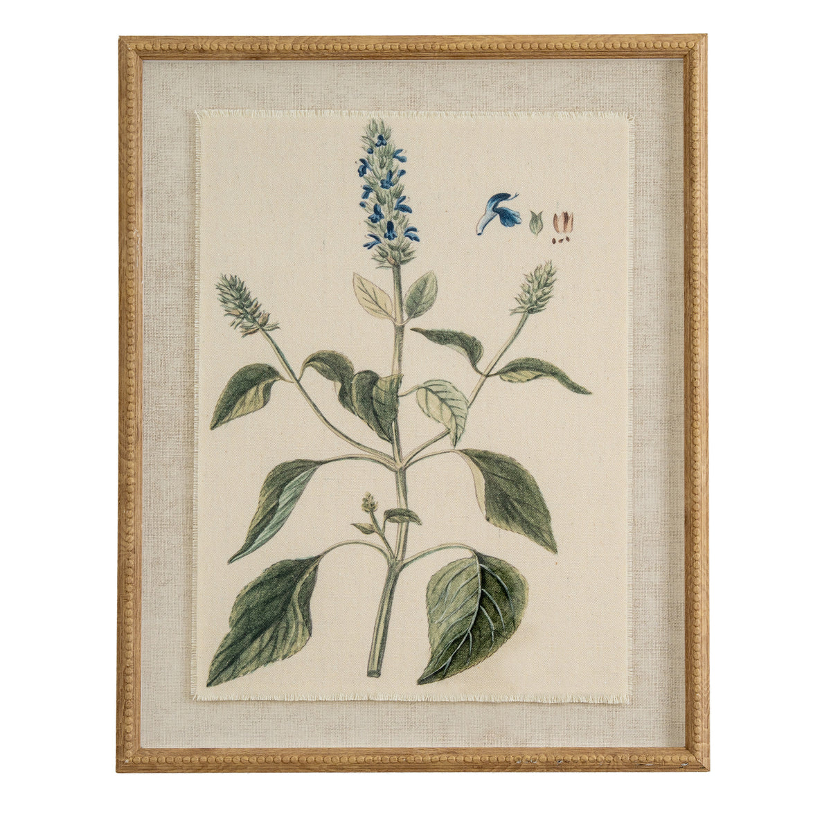 Flora & Fauna Collection Salvia On Linen In Beaded Frame - image 1