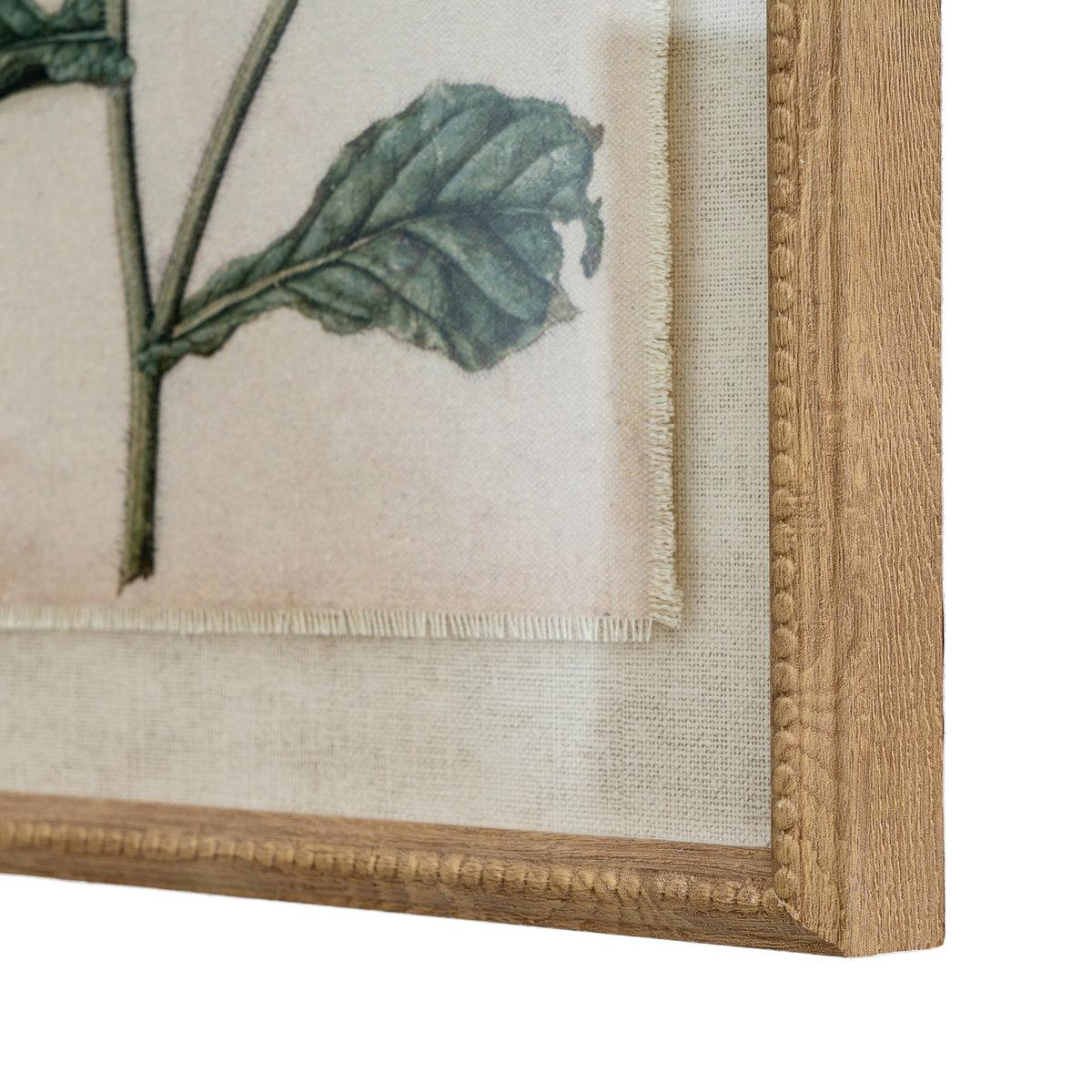 Flora & Fauna Collection Borage On Linen In Beaded Frame - image 2