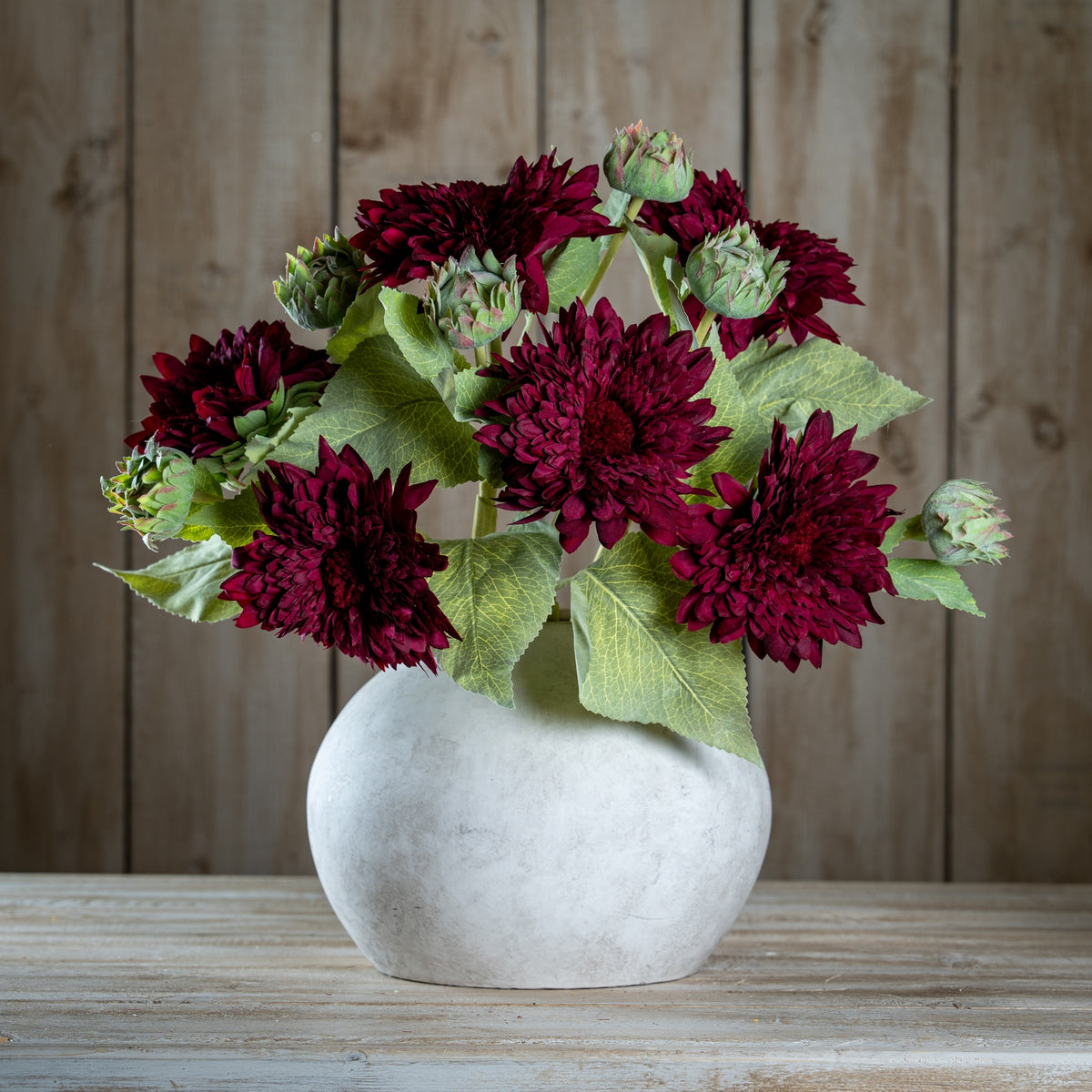 Dahlia Burgundy Raven Stem - image 2
