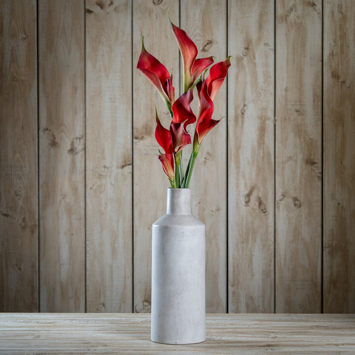 Fireball Calla Lily - image 2