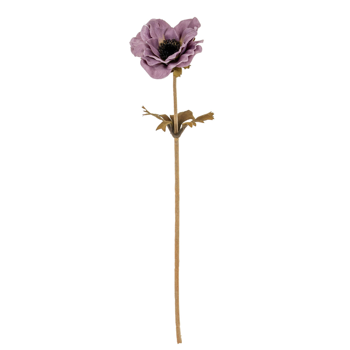 Purple Anemone Stem - image 1