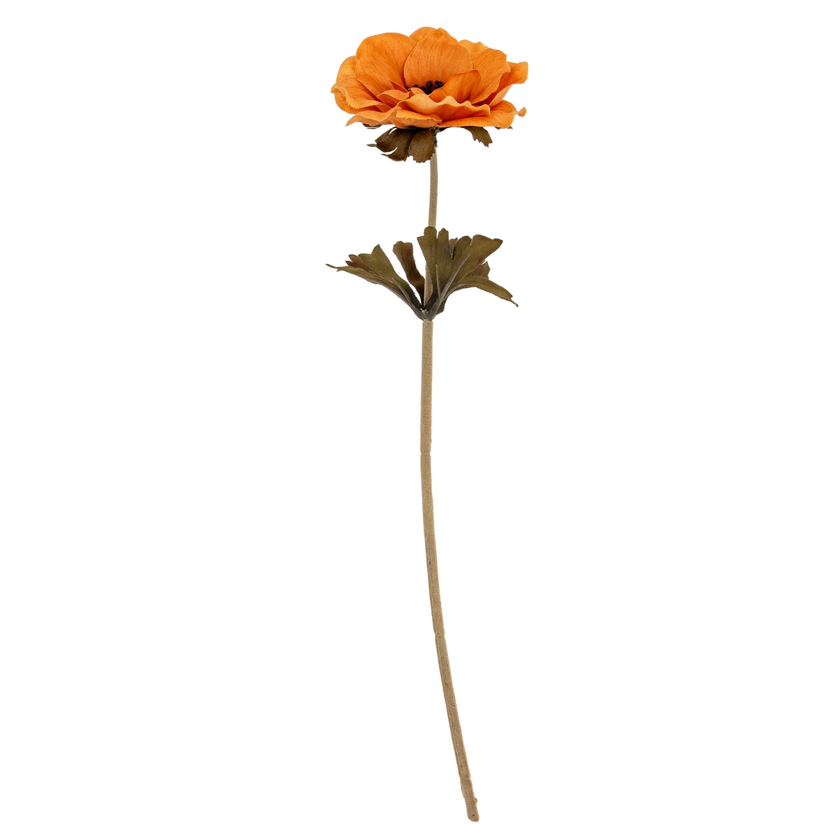 Yellow Anemone Stem - image 2
