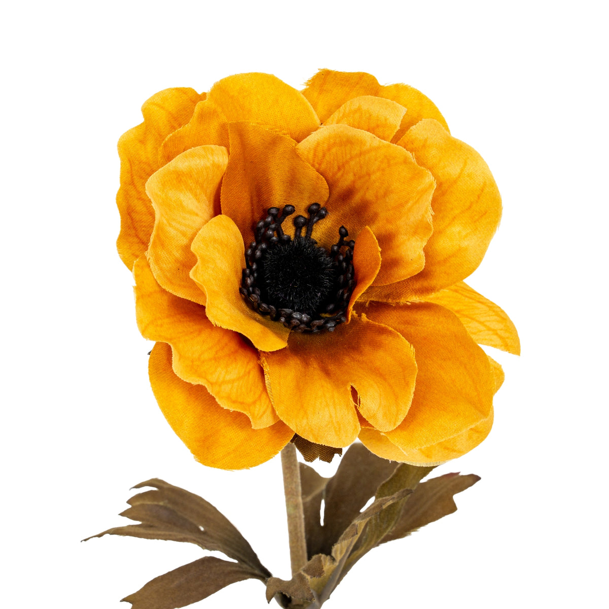 Yellow Anemone Stem - image 1