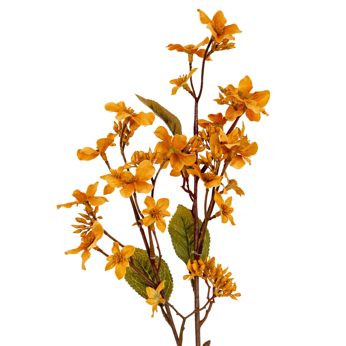 Yellow Vernicia Fordii Spray - image 1