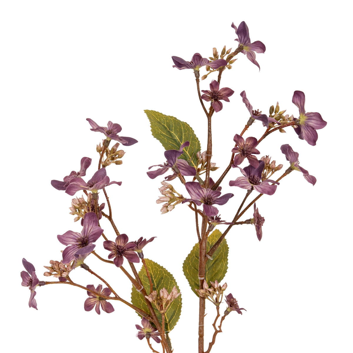 Purple Vernicia Fordii Spray - image 1