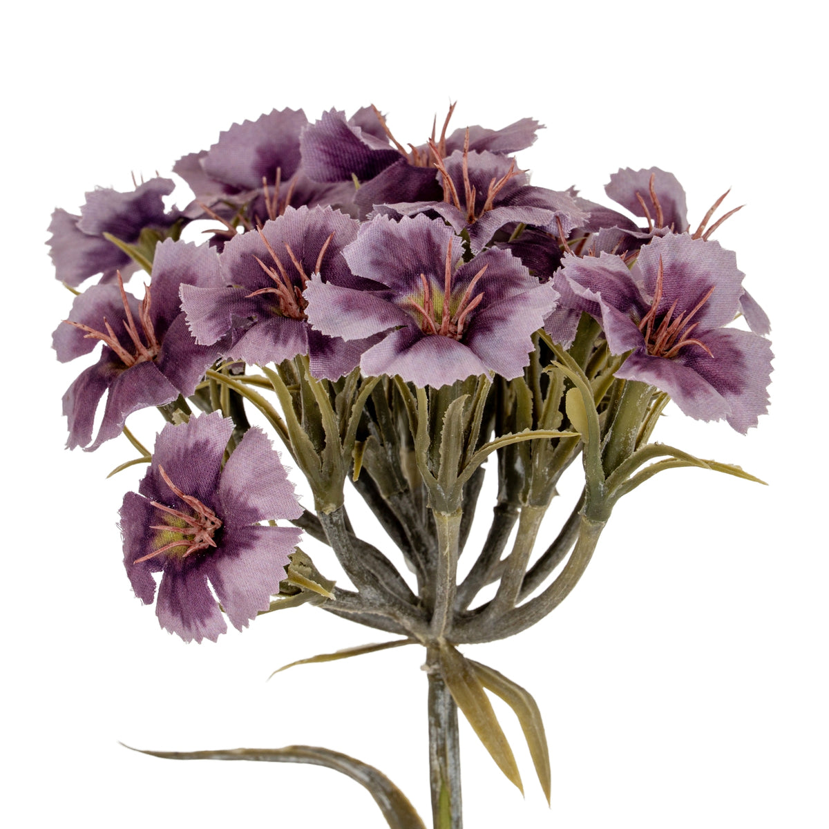 Purple Dianthus Spray - image 1