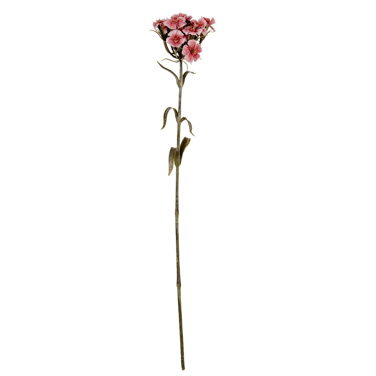 Pink Dianthus Spray - image 2