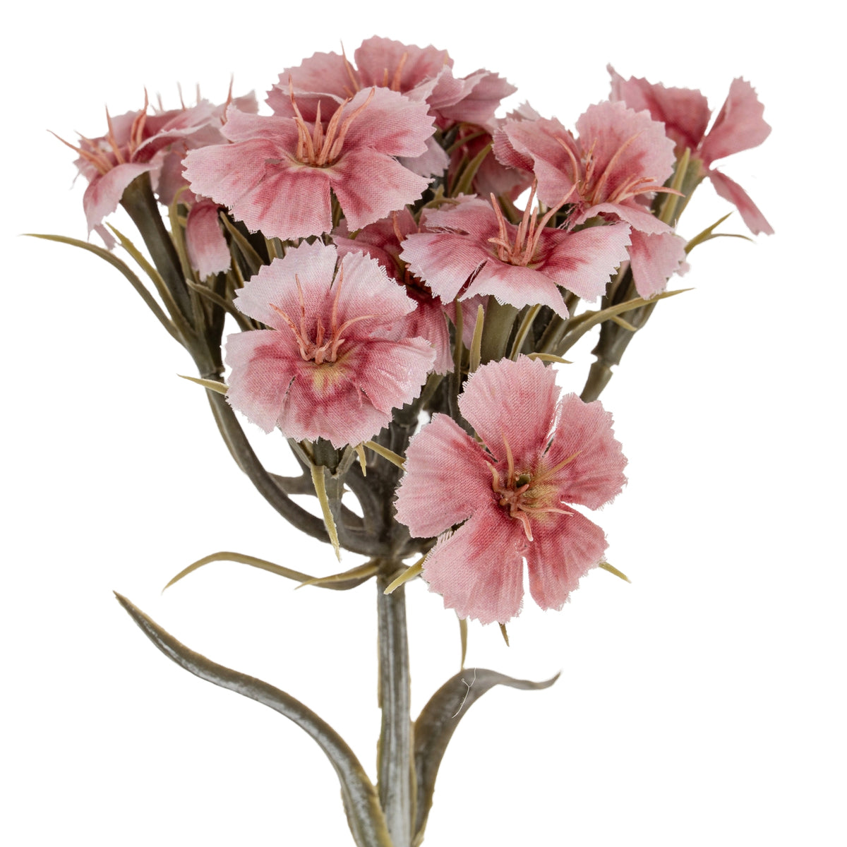 Pink Dianthus Spray - image 1