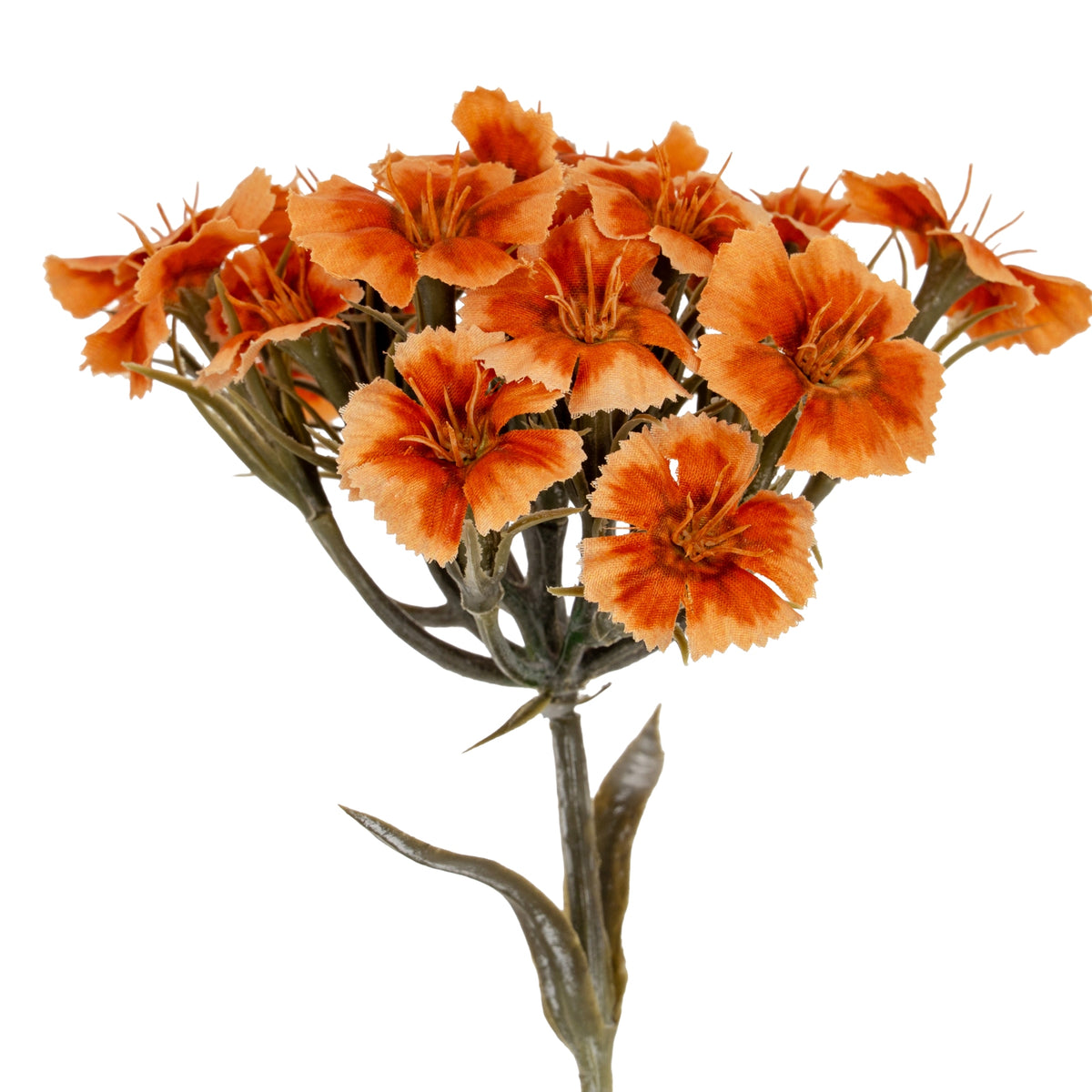 Orange Dianthus Spray - image 1