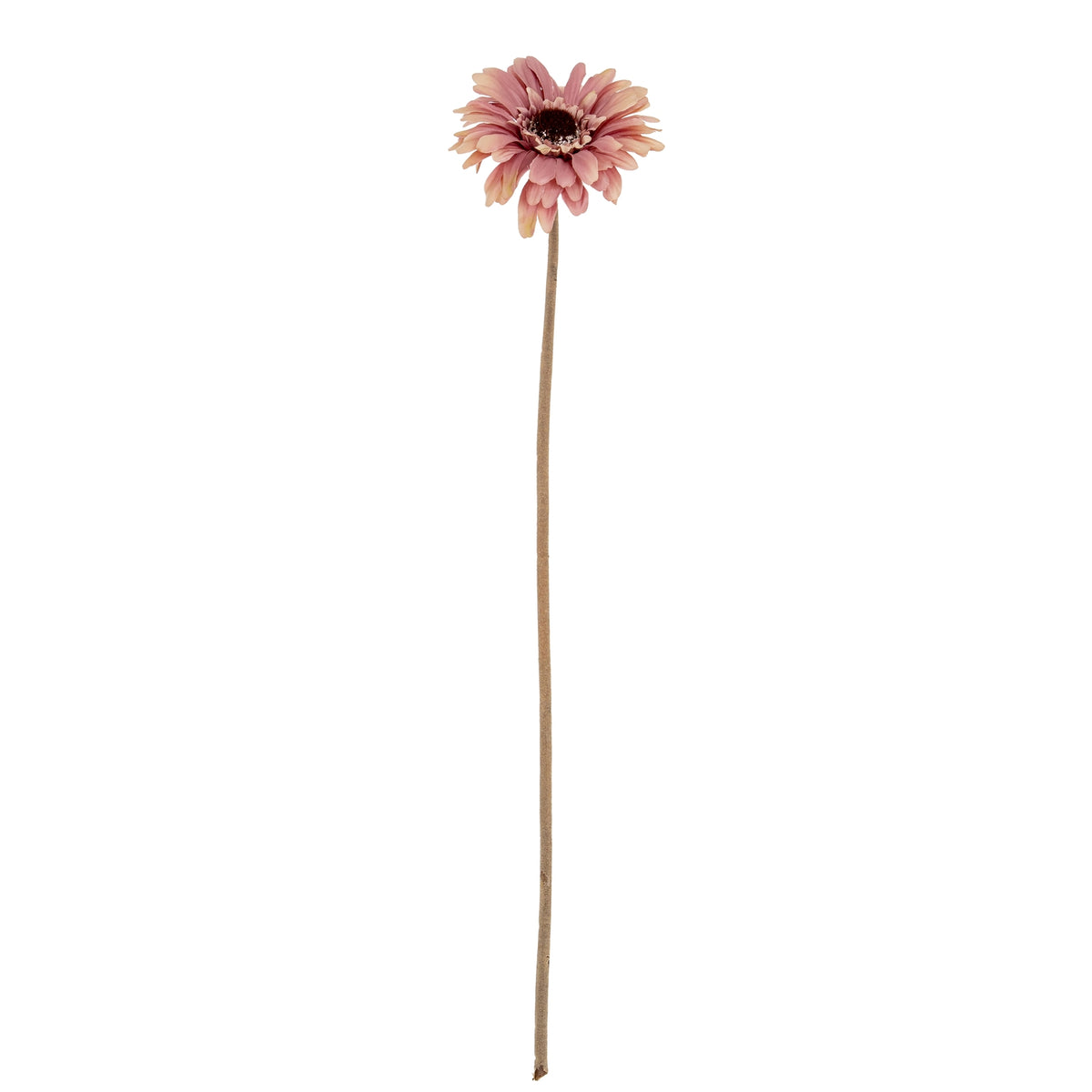 Pink Gerbera Stem - image 3
