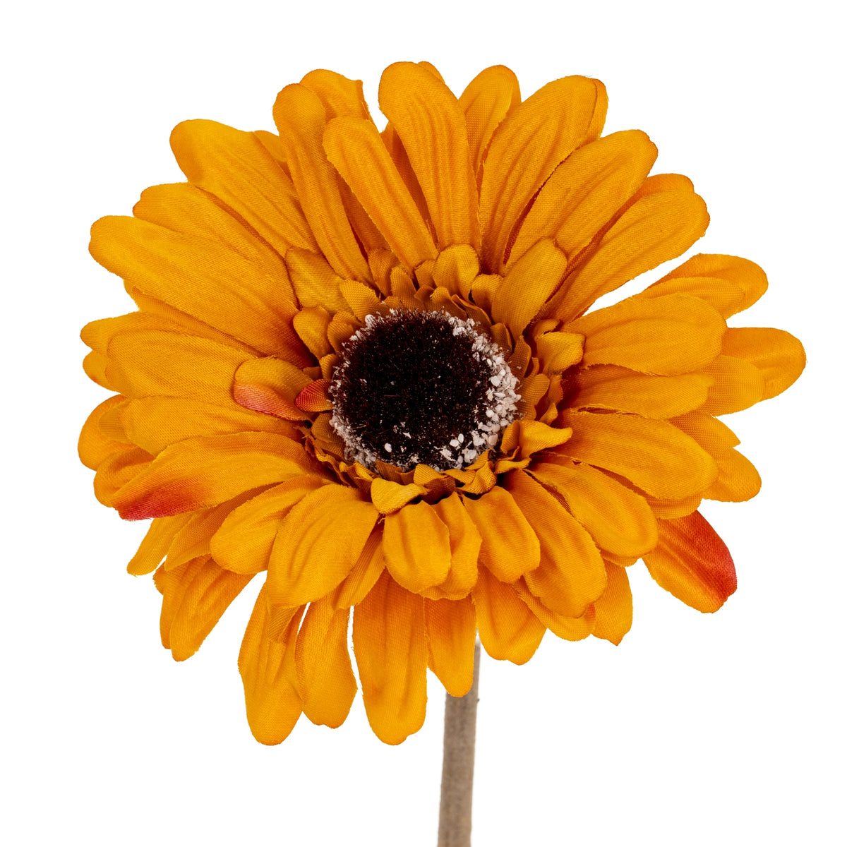Orange Gerbera Stem - image 1