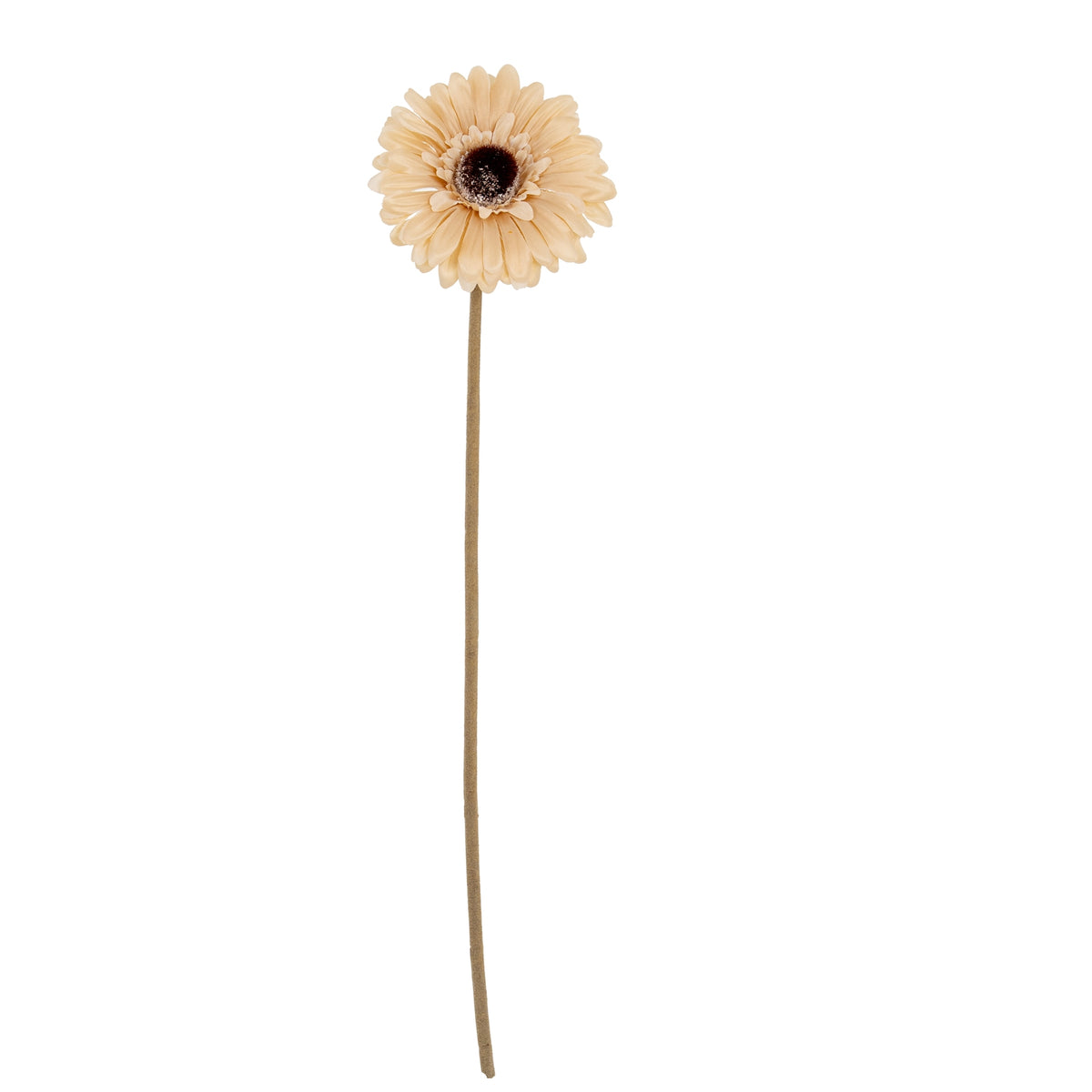 Cream Gerbera Stem - image 2