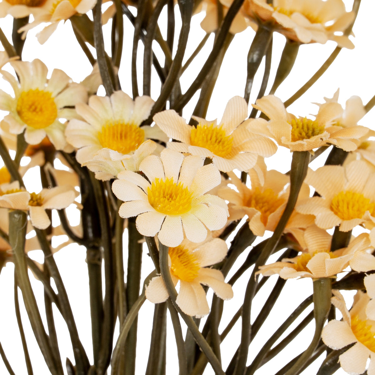 Cream Daisy Bunch - image 3
