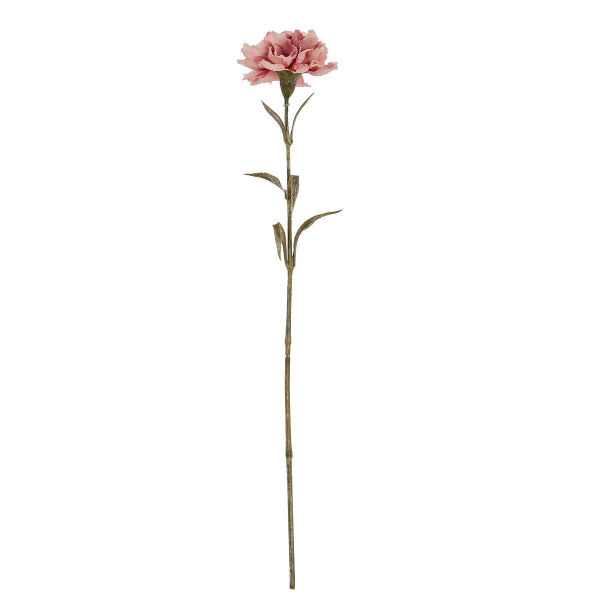 Pink Carnation Stem - image 2