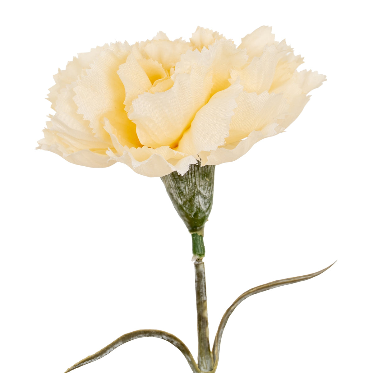Cream Carnation Stem - image 1
