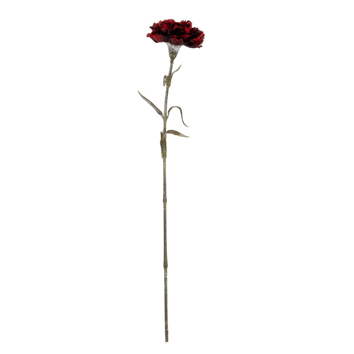 Burgundy Carnation Stem - image 2