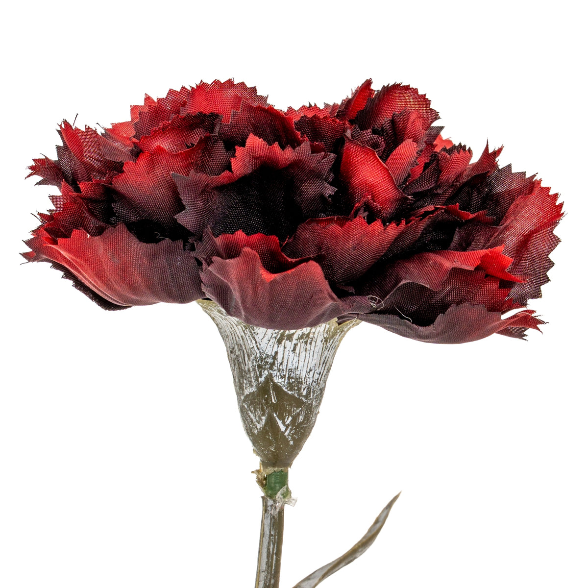 Burgundy Carnation Stem - image 1