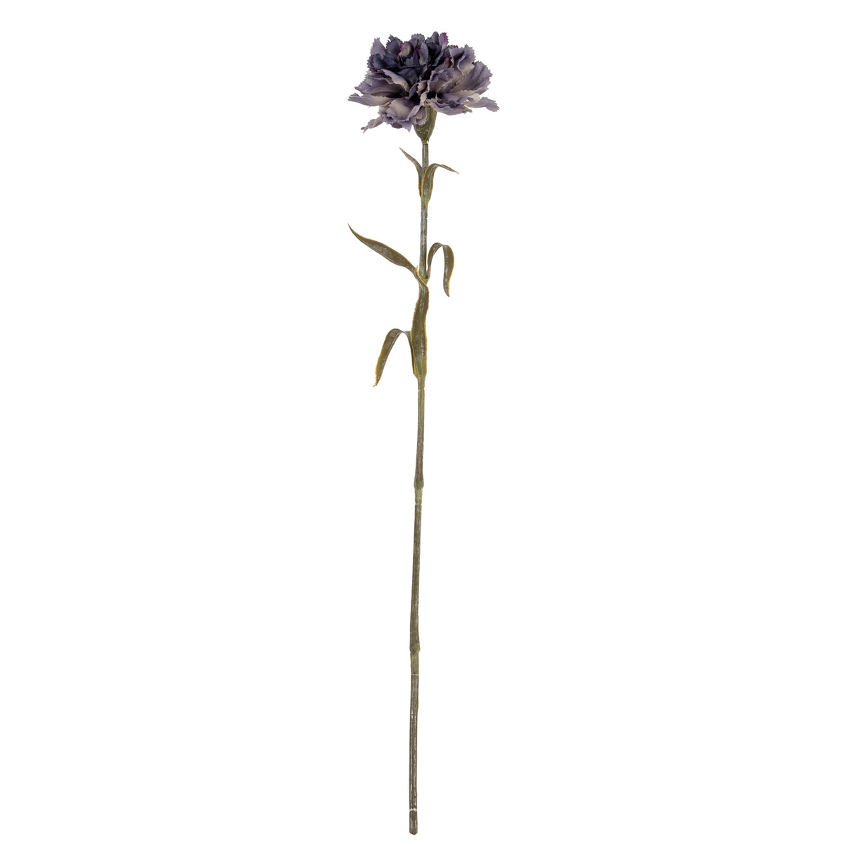 Purple Carnation Stem - image 2