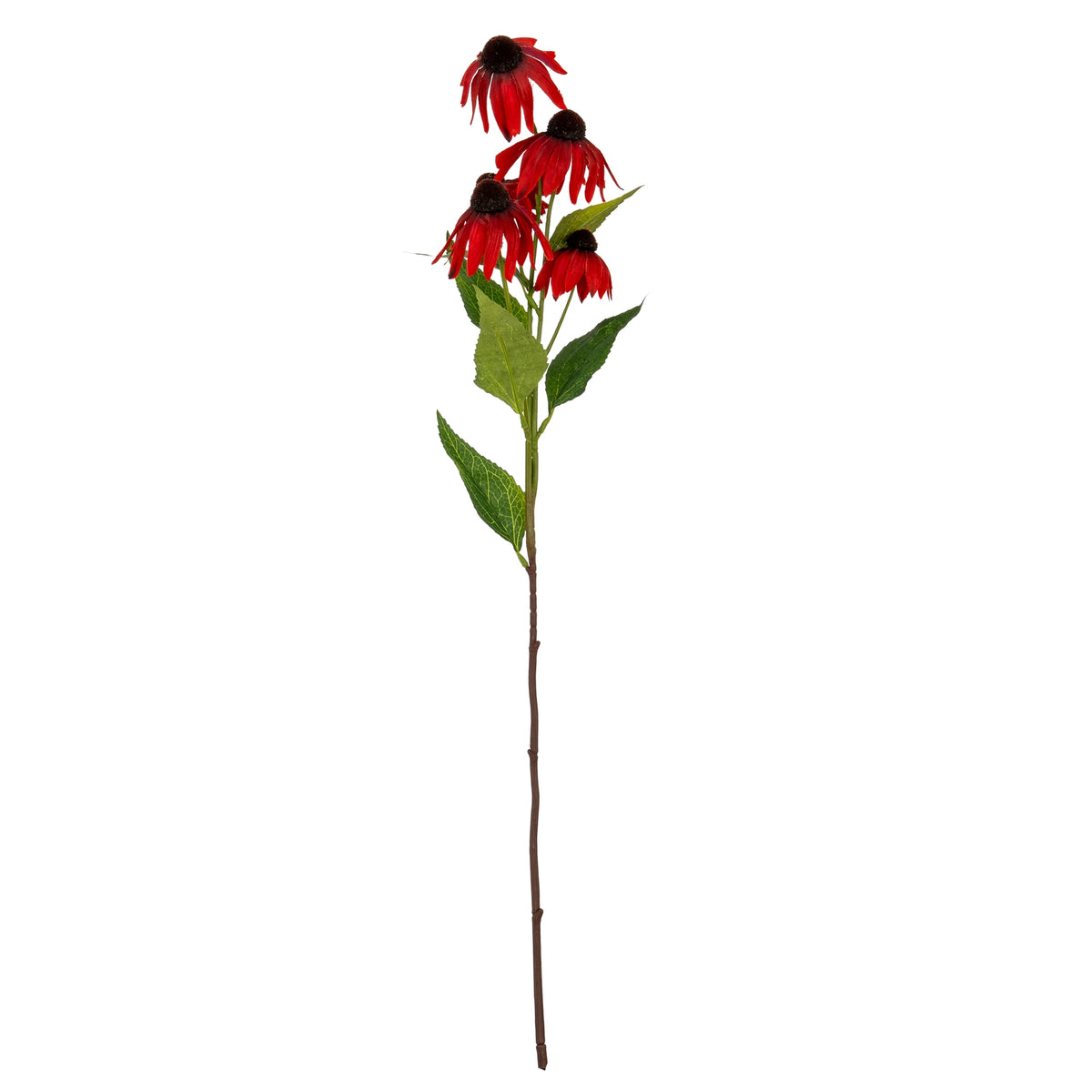 Red Echinacea Spray - image 2