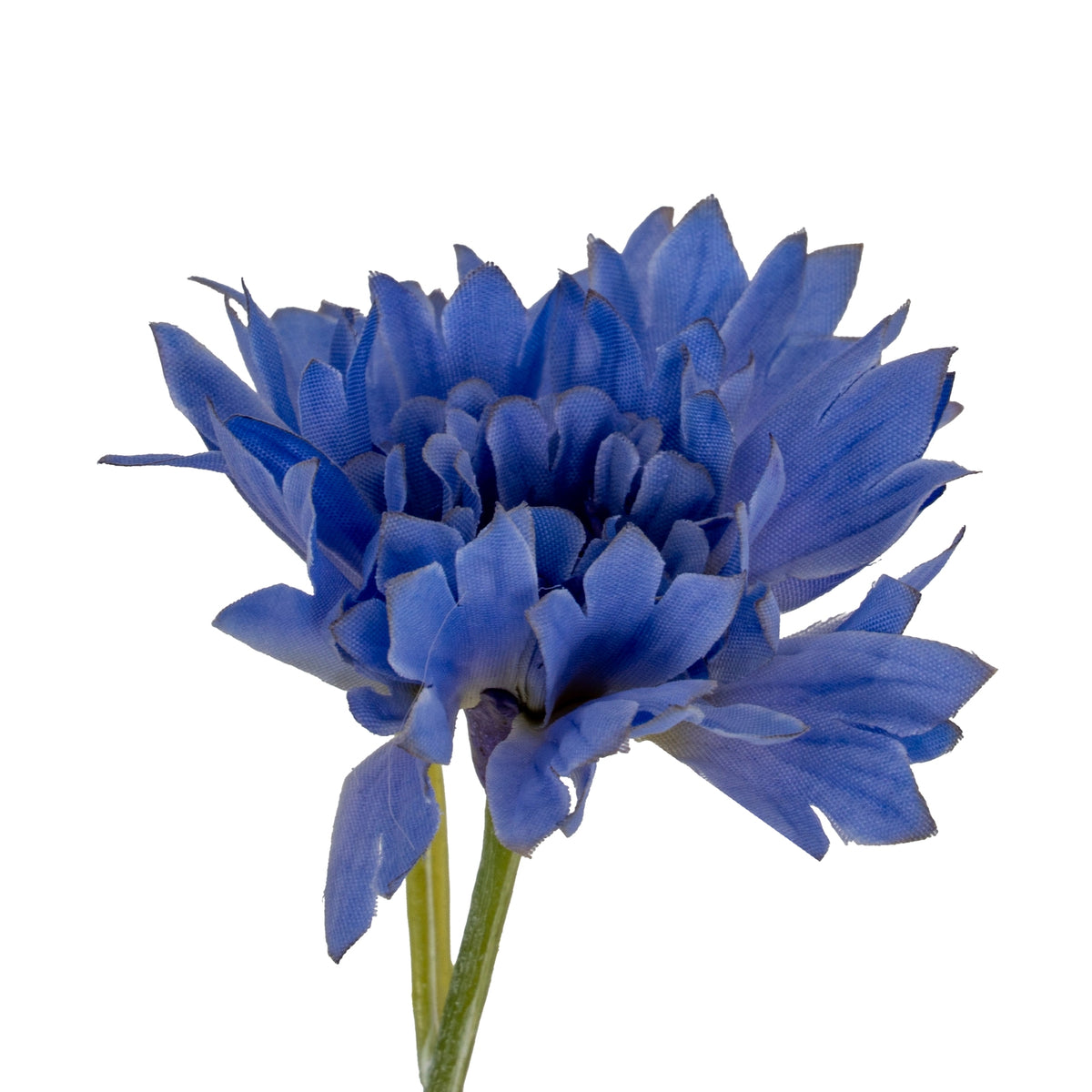 Blue Cornflower Stem - image 1