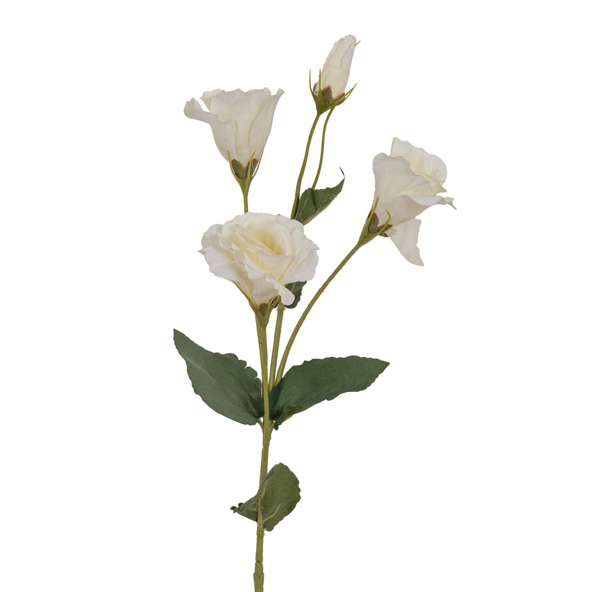White Lisianthus Spray - image 1