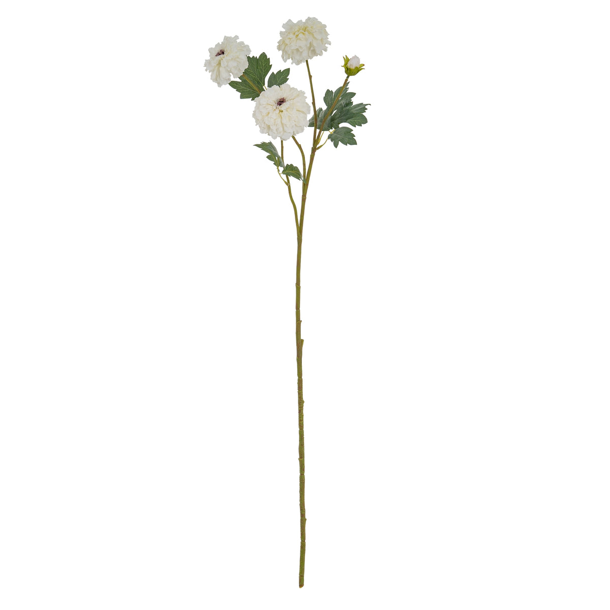 White African Marigold Large Spray - image 2