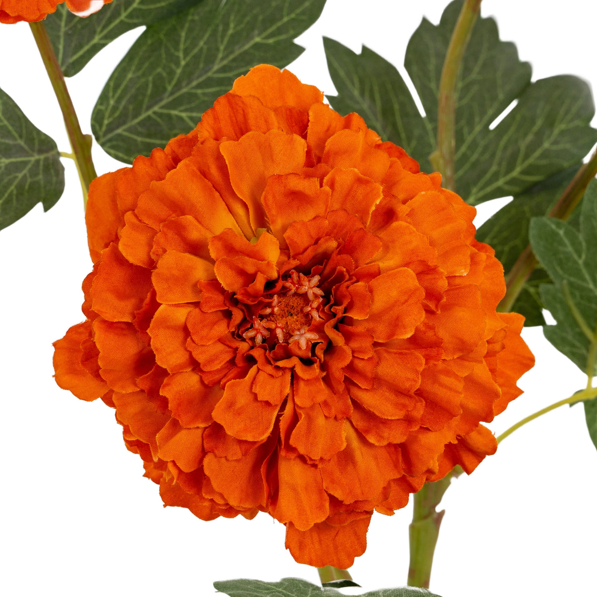 Orange African Marigold Large Spray - image 3