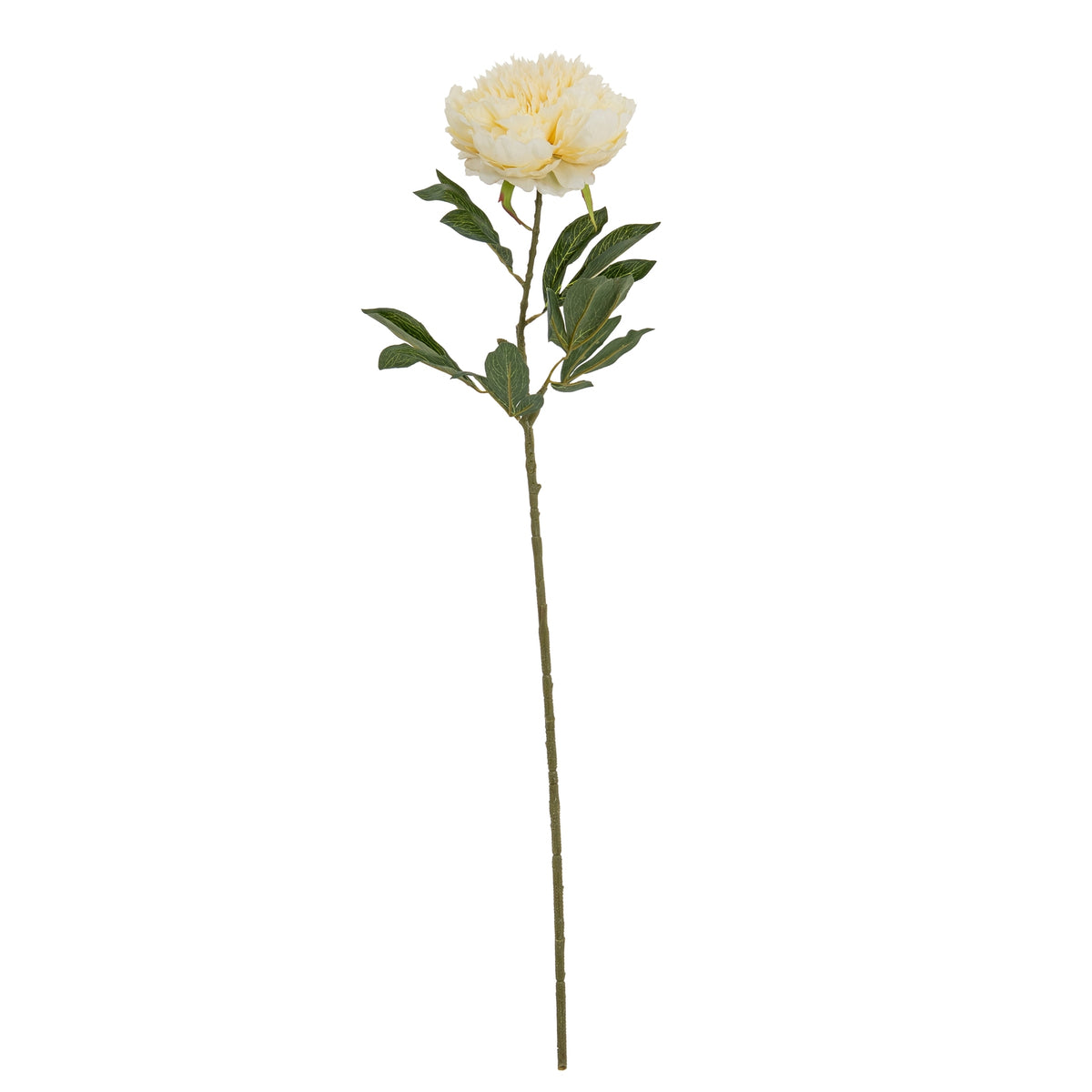 Large Buttermilk Double Peony Stem - image 2